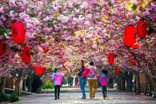 中国最美乡村——山东莱阳濯村