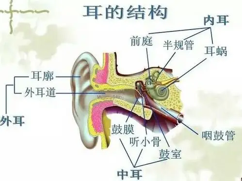 语燕教育疫情防控第五周情景课——《保护小耳朵,倾听世界美好》