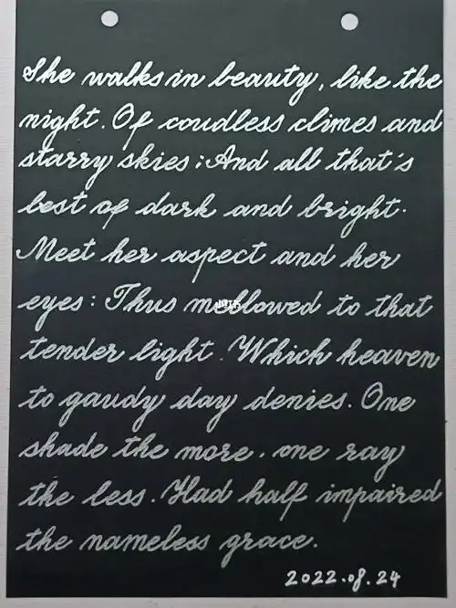 太好看了黑色永远不过时手写英文字体