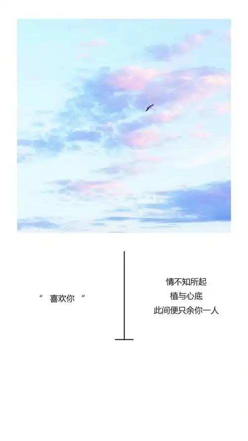 文字图片文艺情感图喜欢你