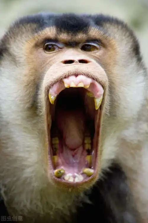 2020最新幽默笑话 2020最流行最搞笑的笑话插图