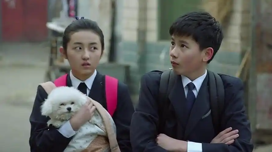 你喜欢电视剧《小别离》吗?-剧情奥秘