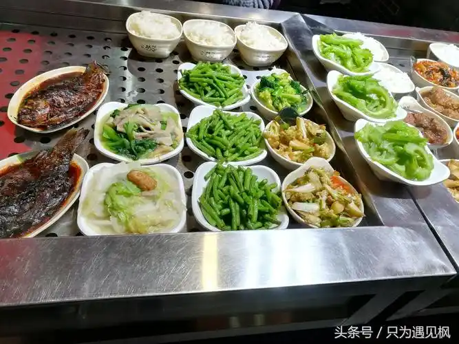 名副其实小碗菜素菜10元一份荤菜15元一份米饭2元一碗