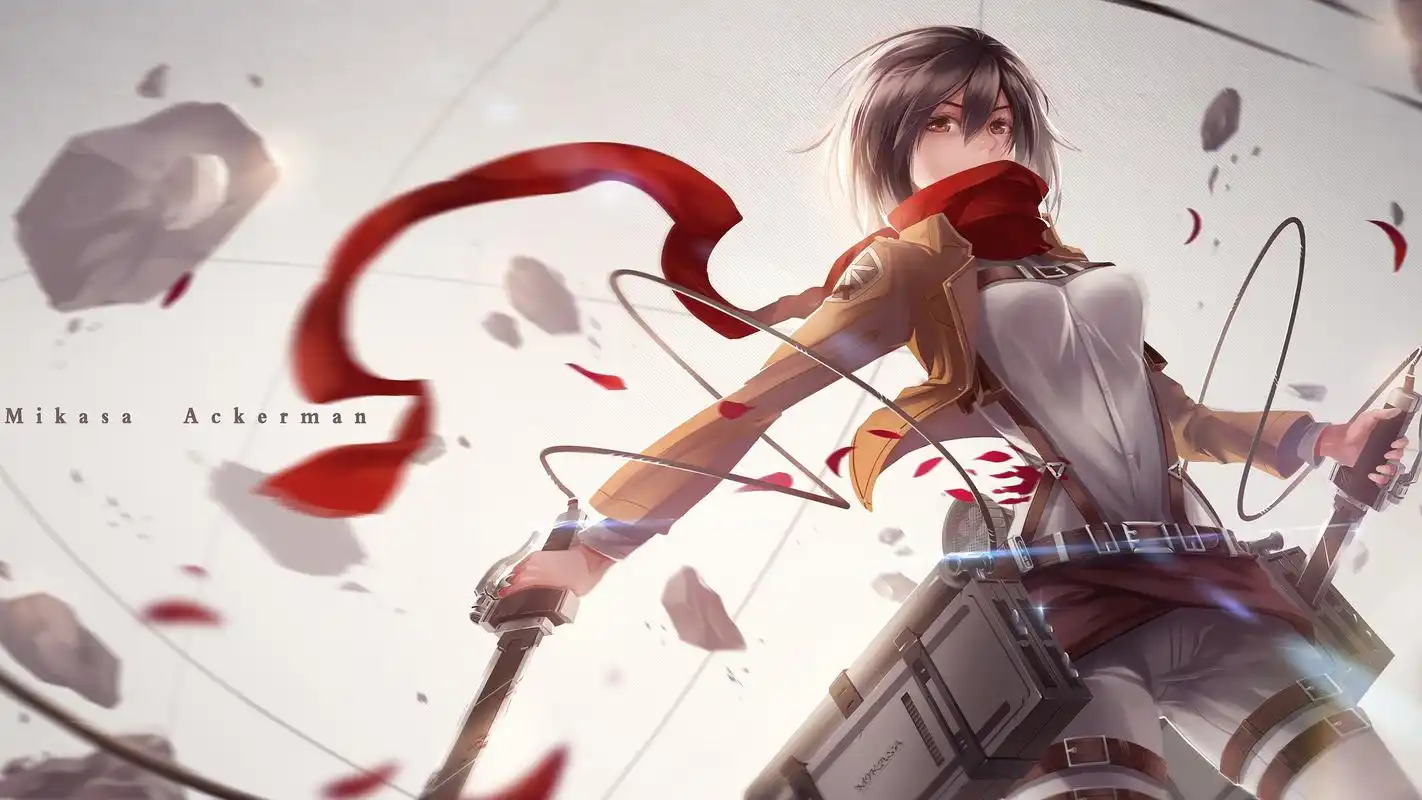 动漫进击的巨人三笠壁纸1