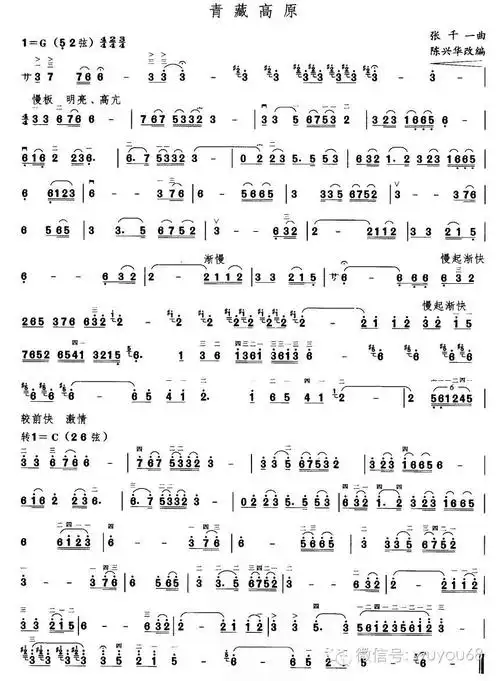 二胡演奏 《青藏高原》于红梅