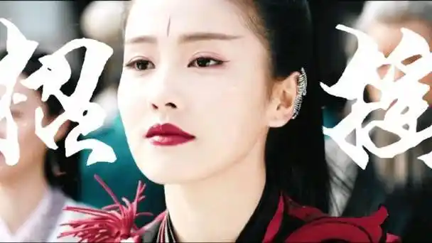 白鹿|招摇五周年