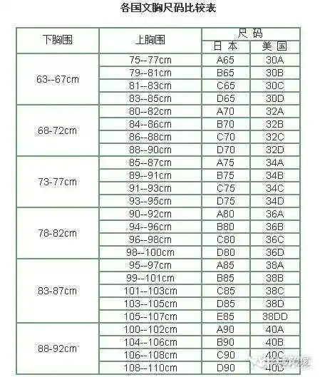 胸部尺寸对照表展示教你乳房罩杯的计算方法