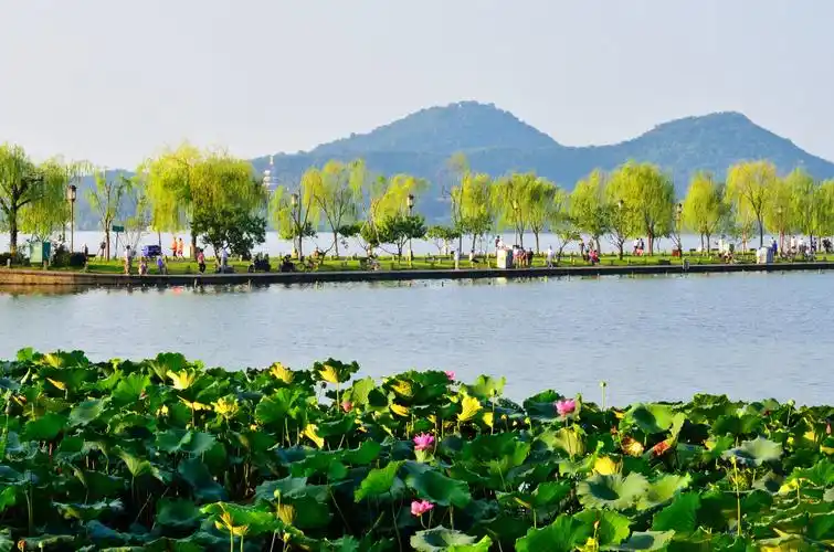 【图片5】长焦下的西湖--蜂鸟论坛照片套图