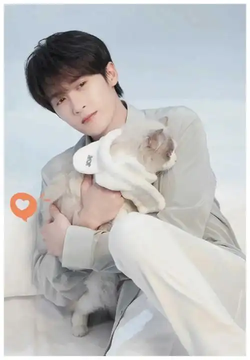 杨洋|宋威龙_网易订阅