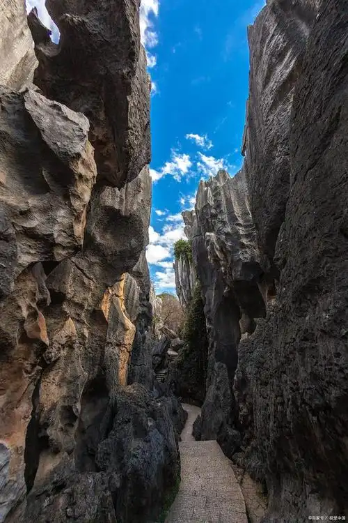 神奇瑰丽的自然风光推荐,国内的四大自然奇观你都见过吗?