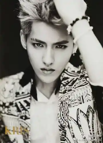 吴亦凡退出exo?正式提出与sm解约继几. 来自新浪乐库 - 微博