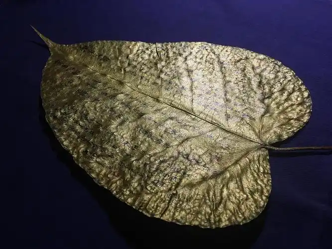 金菩提贝叶 心经