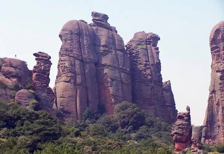 在龟峰吃乌龟,与这个"龟"字有关吗_景区_店家_什么