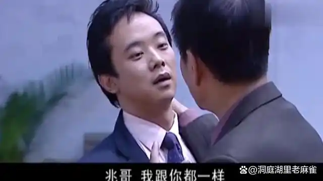 兆辉煌经常提起的老领导不一般,工作不在南湖省,而是在京城,为何最后