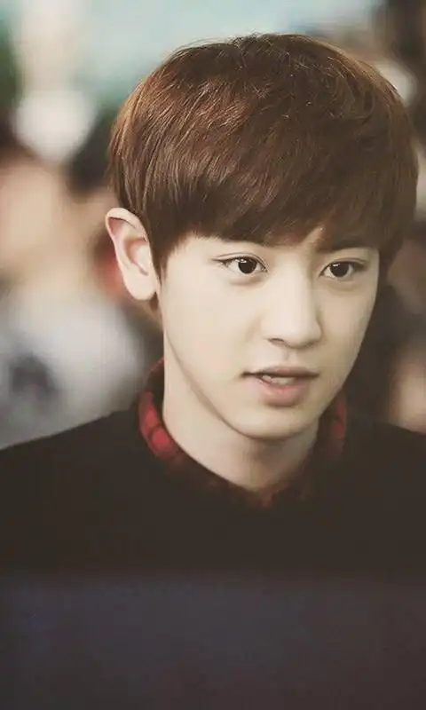 求exo的单人照(全部)