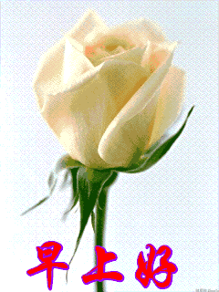 周末早晨好问候语动态图微信早晨好表情包图片