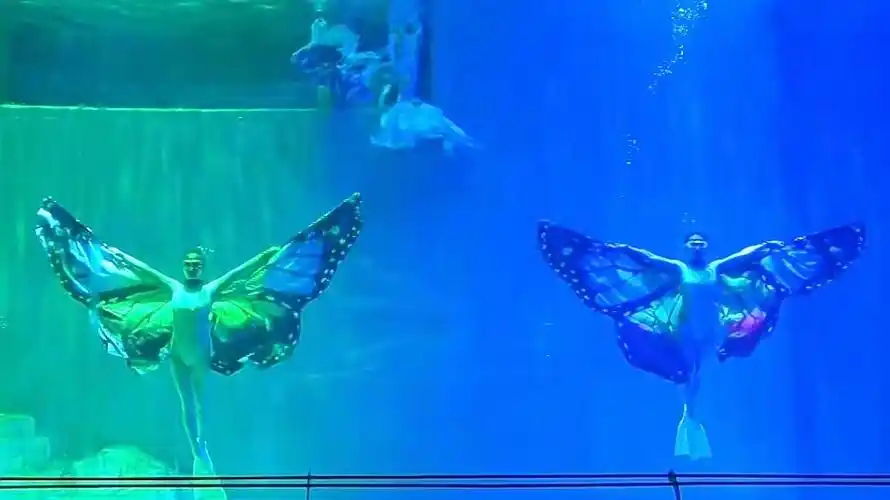 六一儿童节哈尔滨冰城极地水舞秀带你重返梦幻童话世界