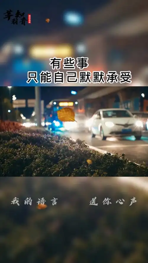 情感故事#有些事,只能自己默默承受,一个人的路,一个人走,一个人的痛