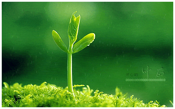 600_375gif 动态图 动图