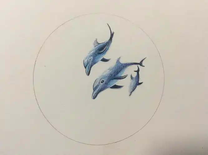 彩铅临摹一海豚 - 简书
