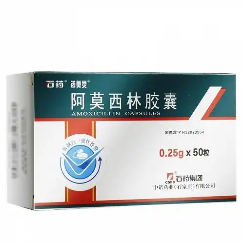 石药阿莫西林胶囊0.25g*10粒*5板价格及说明书-功效与作用-亮健好药