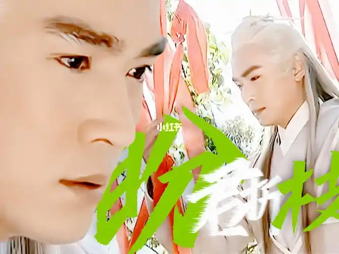 焦恩俊从此小说里白发师尊都有了脸