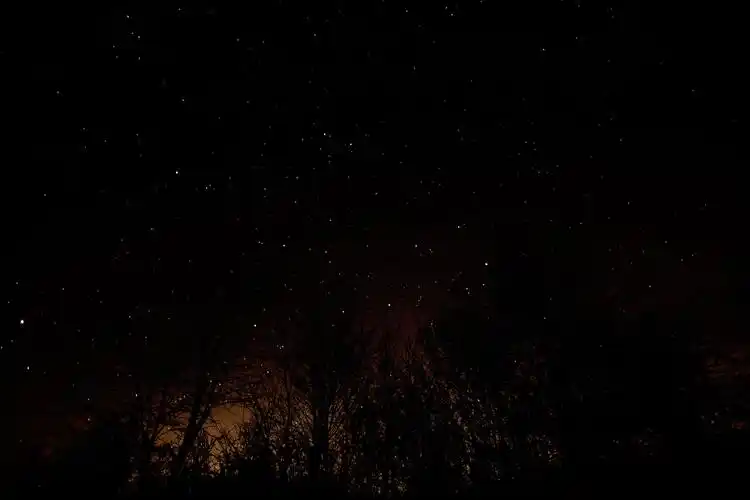 自然,黑色,黑暗,晚上,天空,星星,树木