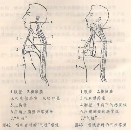气柱在发声歌唱中的感觉变化
