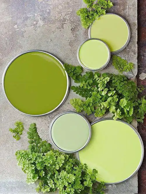 绿色系的马卡龙色,总能给人一种清新的抹茶味,贴近大自然的色系能让人