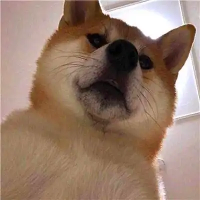 2人基友头像沙雕智障图片_基友男生头像_头像屋