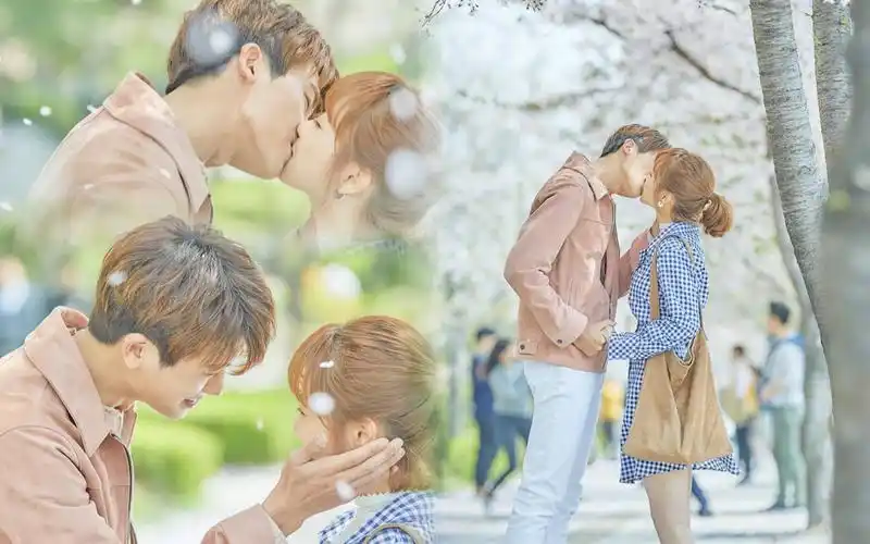 【狗狗cp】朴炯植×朴宝英|高甜名场面混剪|三分钟看安敏赫&都奉顺