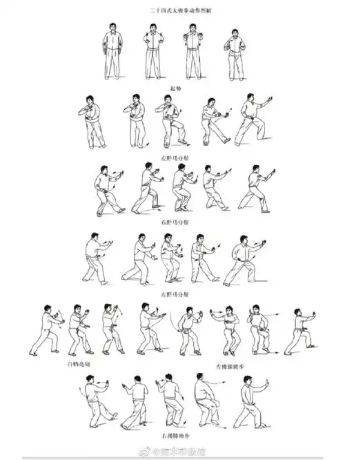 二十四式太极拳动作图解