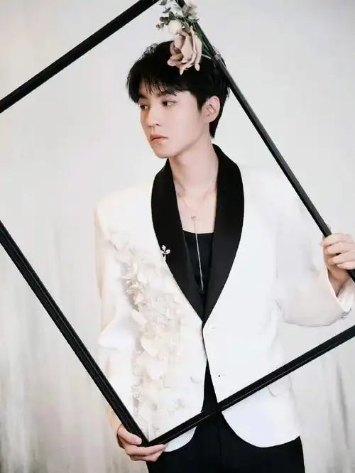 王俊凯工作室出图,画框中的忧郁少年  没有技巧   24k纯硬帅