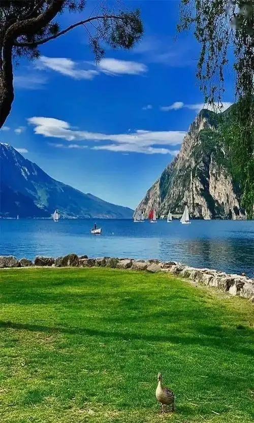 美图欣赏静心美景舒心欣赏