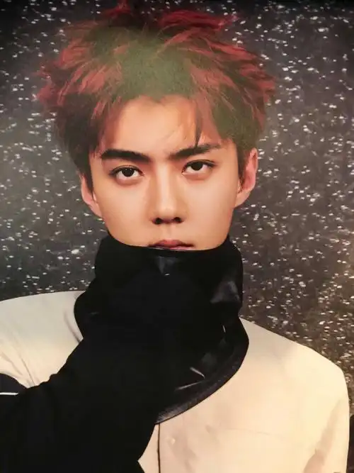 exo的吴世勋五官立体 生图能打 素颜好看有笑眼 1米84 有肌肉业业务