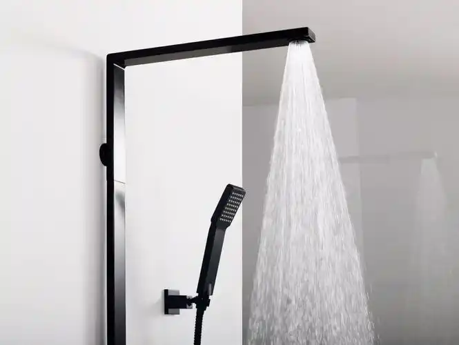 fh8166c-d56淋浴花洒/喷头式 | 专业提供各种卫浴设备,浴室整修工程,