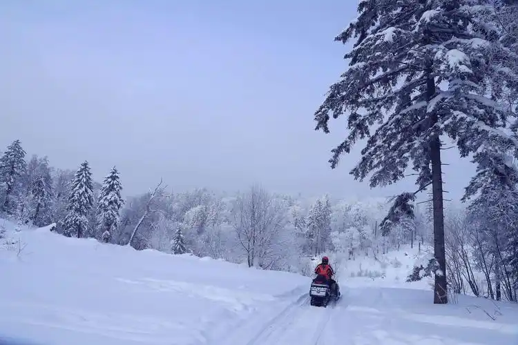 长白山仙峰雪岭无人区 写美篇自驾线路: 延龙公路s206入口→仙峰森林