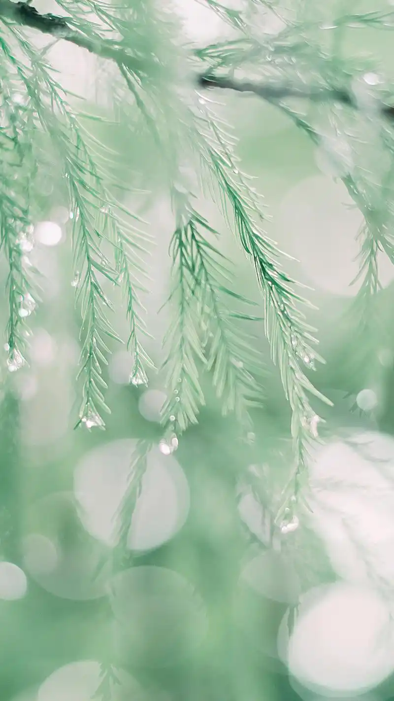 日系小清新高清唯美手机壁纸图片_风格_手机壁纸下载_美桌网