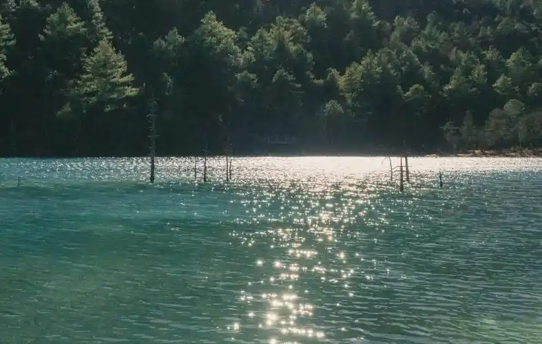 相关标签碧波粼粼的湖水上一图集:ipad mini 2021原生系统壁纸下一