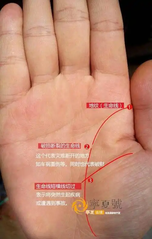 生命线,不仅是表现寿命长短,健康状态,有无病难及突发事故的部位,同时