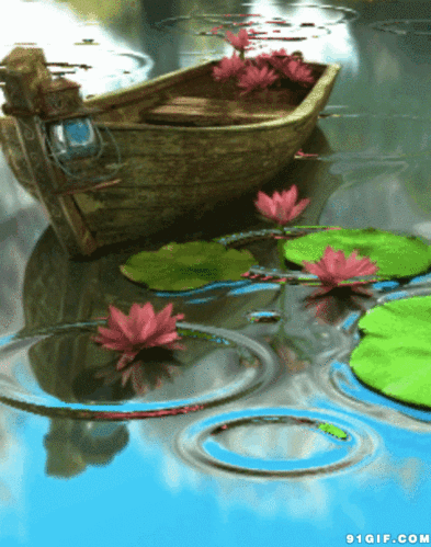 480_610竖版 竖屏gif 动态图 动图