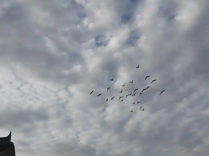 一半是阴天一半是晴天在天空中的画布是冲向晴朗的地方