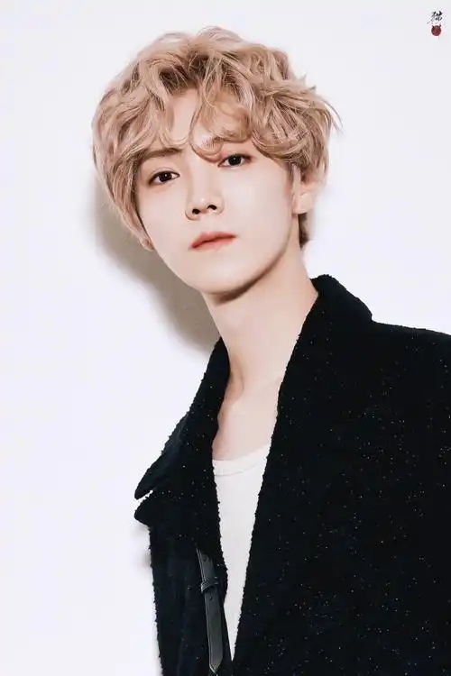 鹿晗金色卷毛造型