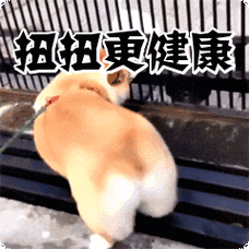 扭扭更健康表情包动态gif表情图片 - 找表情上表情家