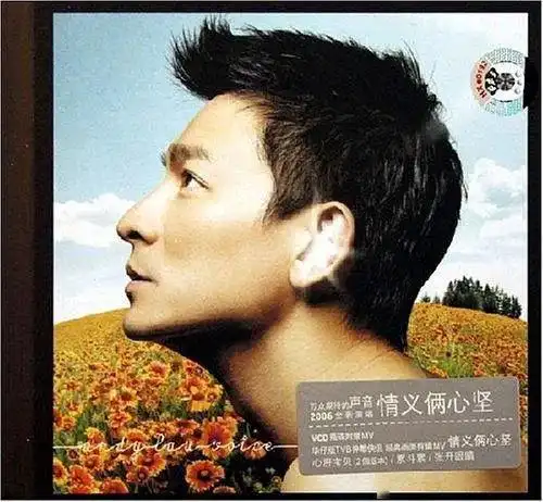 在2000年, 刘德华便发行了一张叫《声音》的非情歌专辑,是一张社会