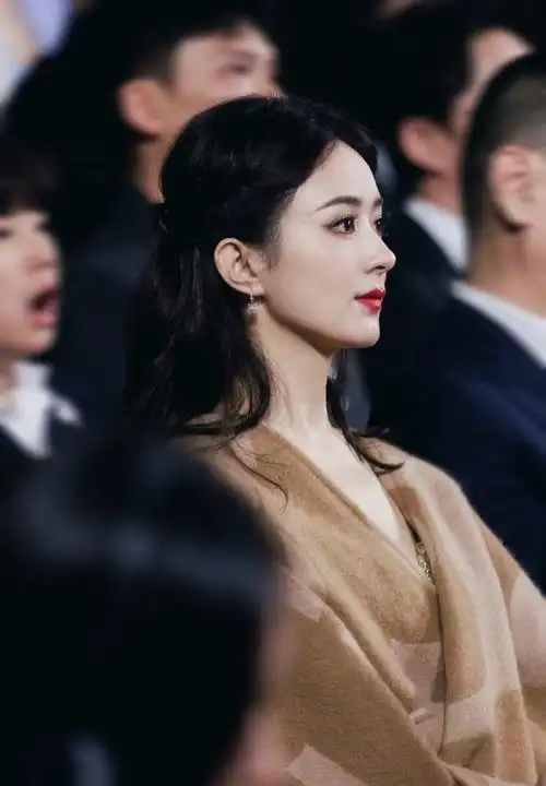 赵丽颖内场侧颜