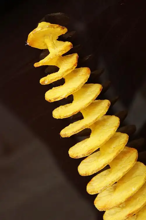 韩国龙旋风土豆