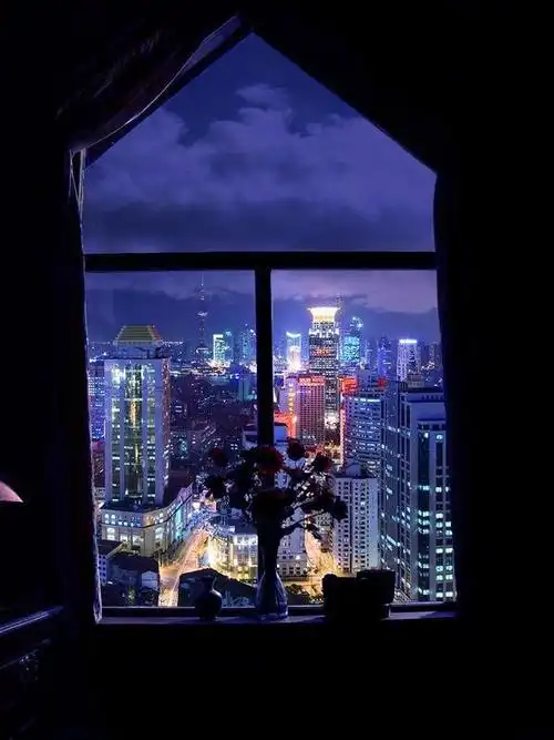 窗外的上海夜景