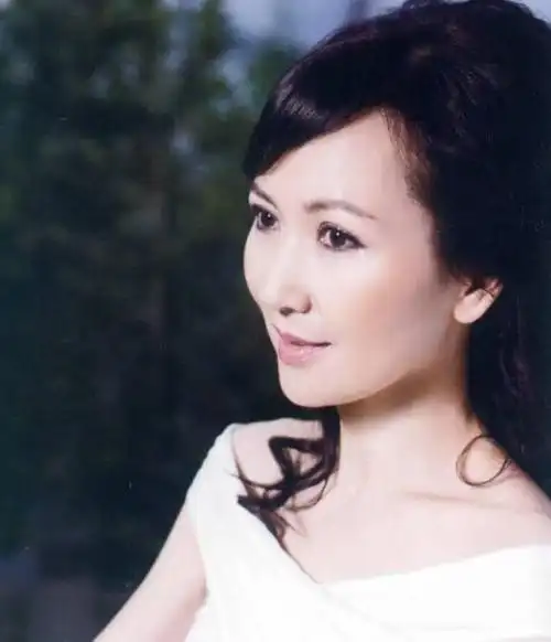 陈美琪年轻时照片(陈美琪的现任老公背景如何)_金纳莱网