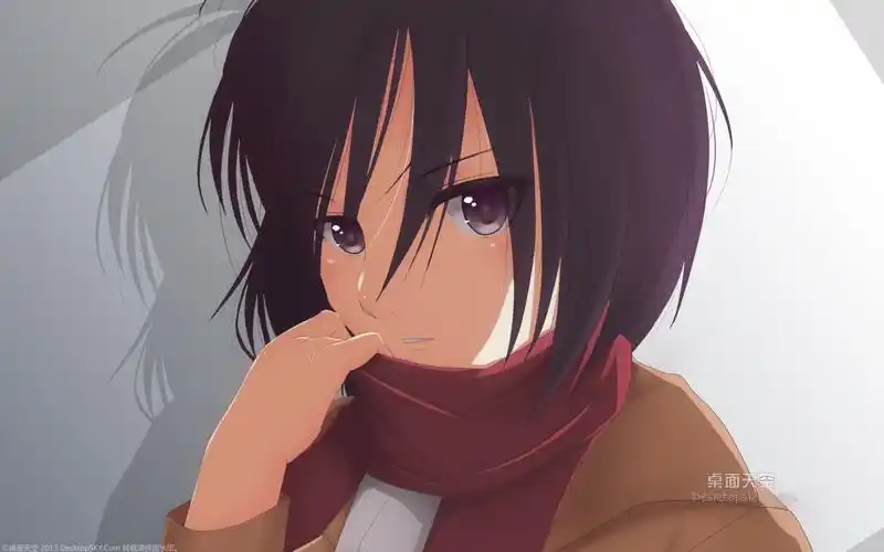 三笠·阿克曼桌面壁纸,第13张图片 _ 图片网